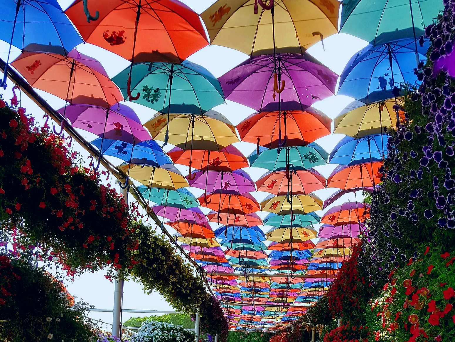 Un aperçu floral du Dubai Miracle Garden, à Al Barsha South 3, près d’Arjan — pas une vue générale du quartier. Photo : Mujeebpully, CC BY-SA 4.0.